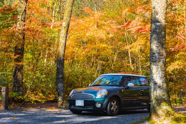 紅葉の中を走るミニクーパーの画像