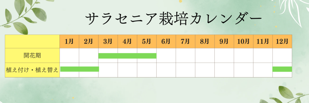 サラセニア栽培カレンダー