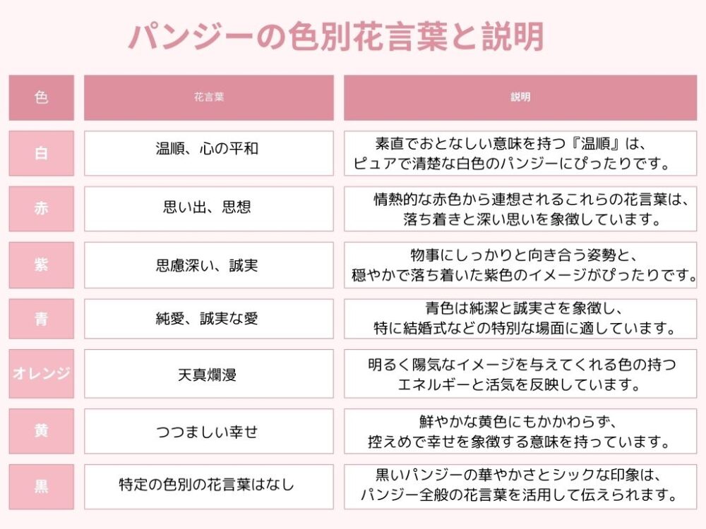 パンジーの色別花言葉と説明
白、赤、紫、青、オレンジなどの花言葉のインフォグラフィック