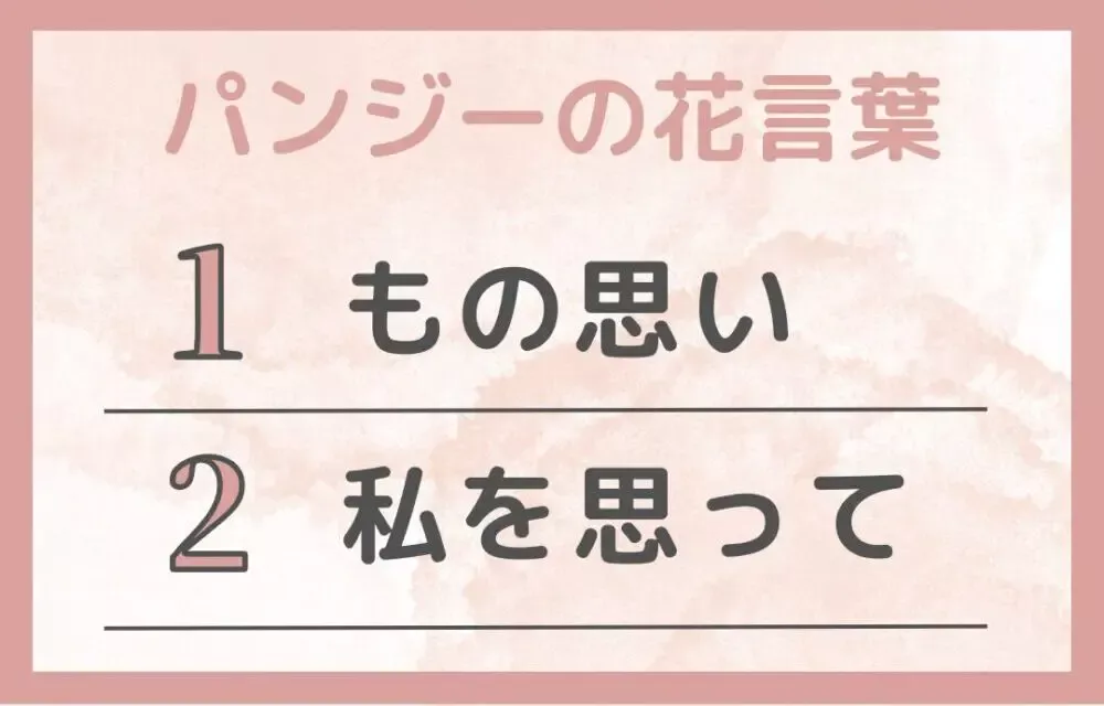 パンジーの花言葉は「もの思い」「私を思って」のインフォグラフィック