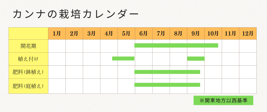 カンナの栽培カレンダー