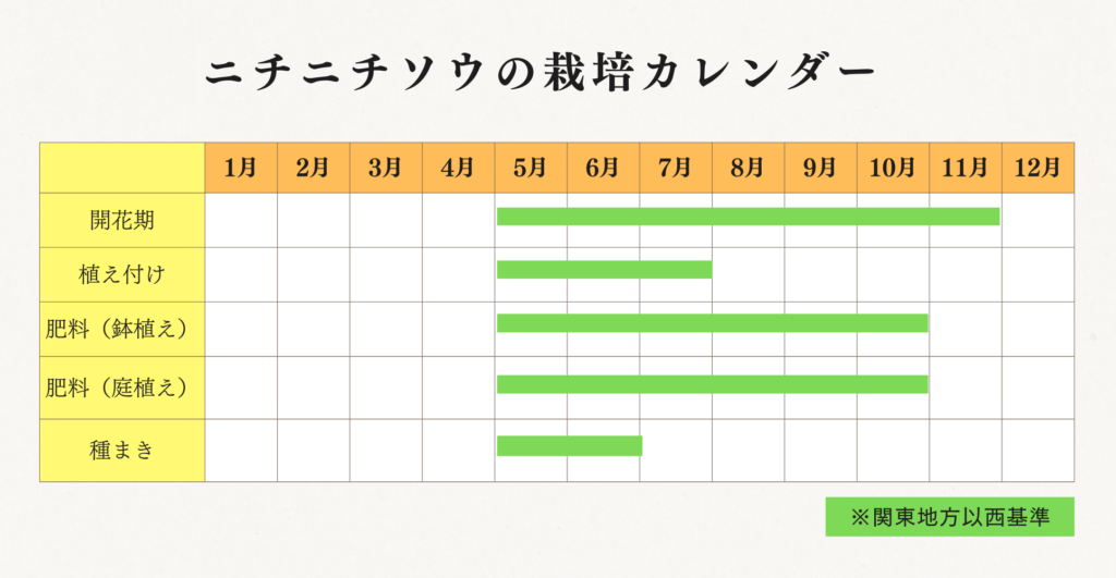 ニチニチソウの栽培カレンダー