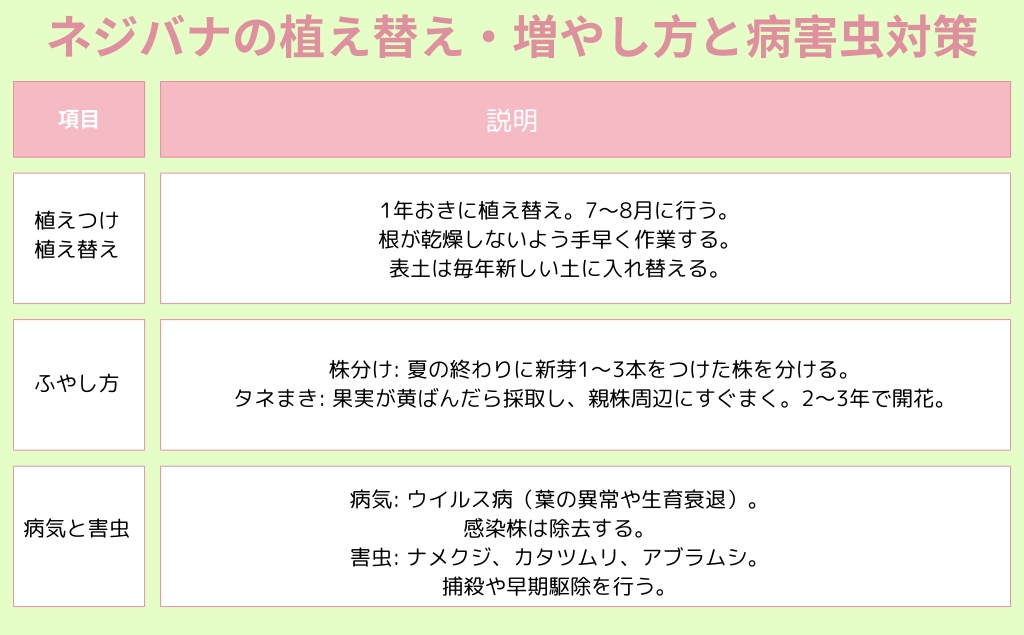 ネジバナの植え替え・増やし方病害虫対策