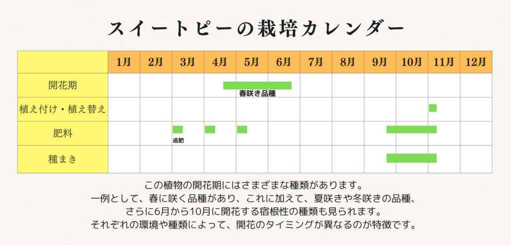 スイートピー栽培カレンダー