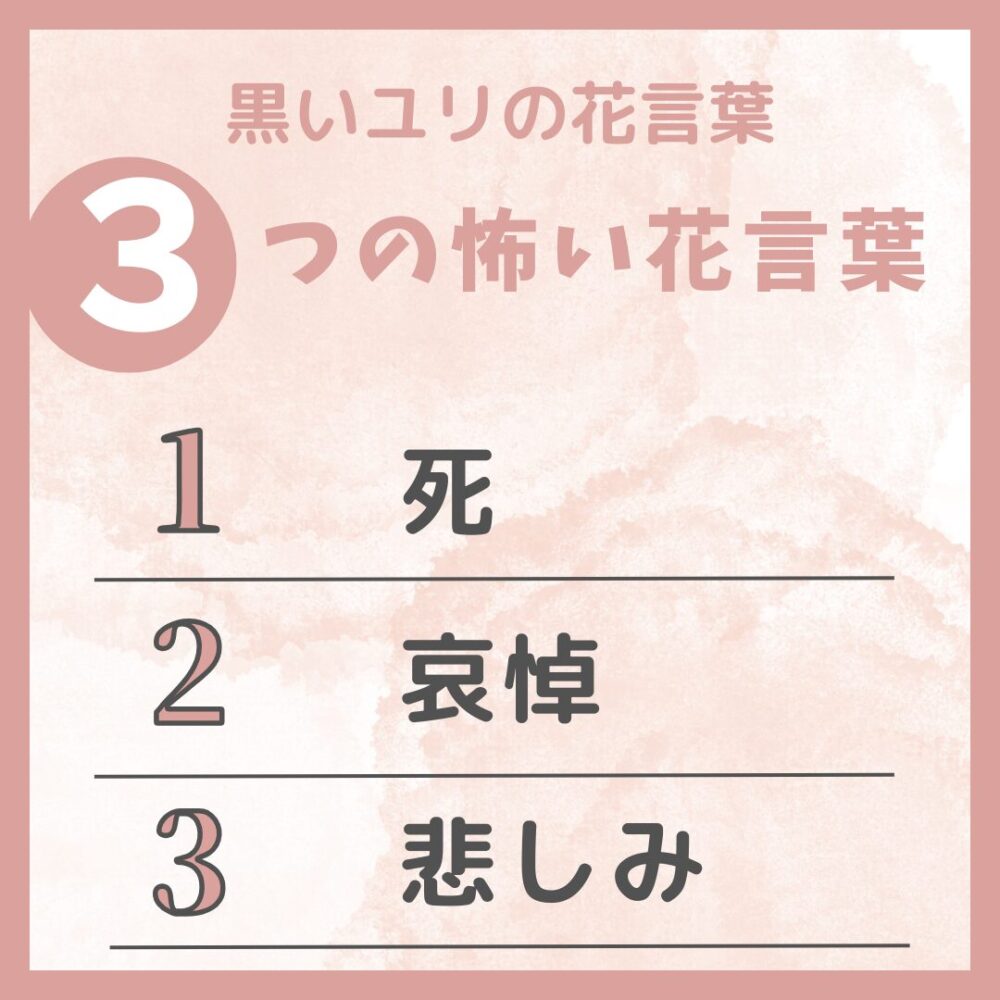 黒いユリの花言葉には「悲しみ」「哀悼」「死」のインフォグラフィック
