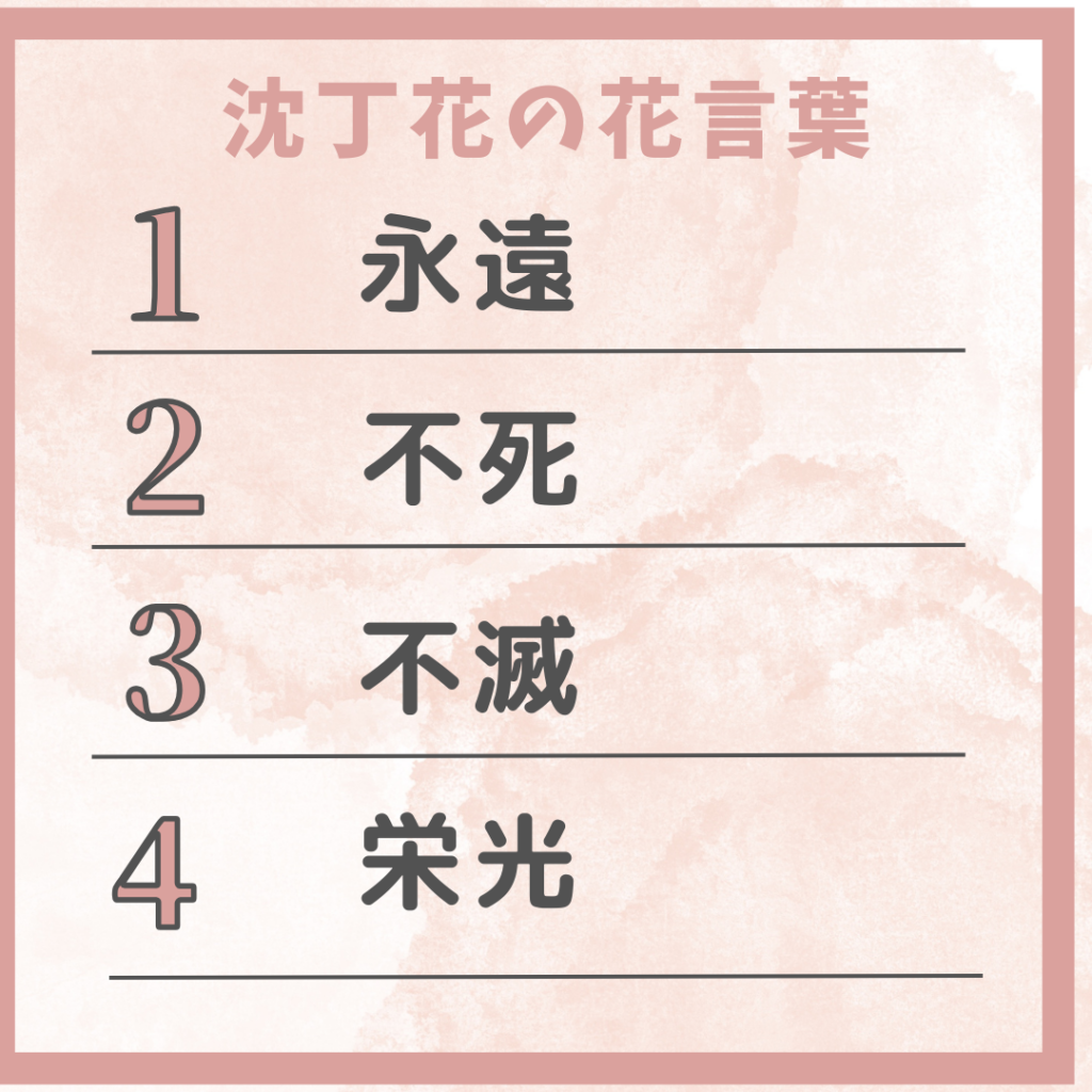 沈丁花の4つの花言葉の表