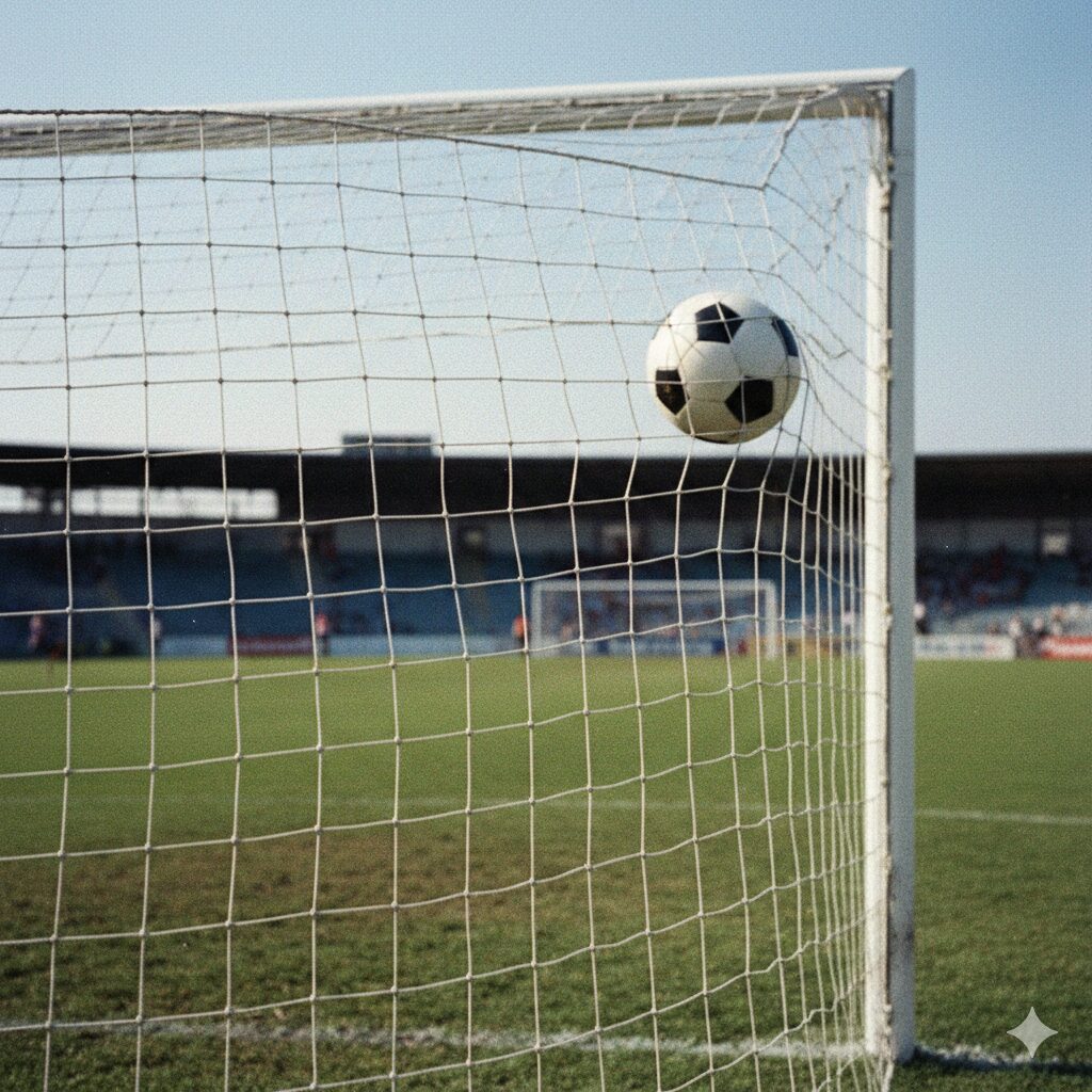 キャプテン翼;若林源蔵の守るゴールを決められるイメージ画像